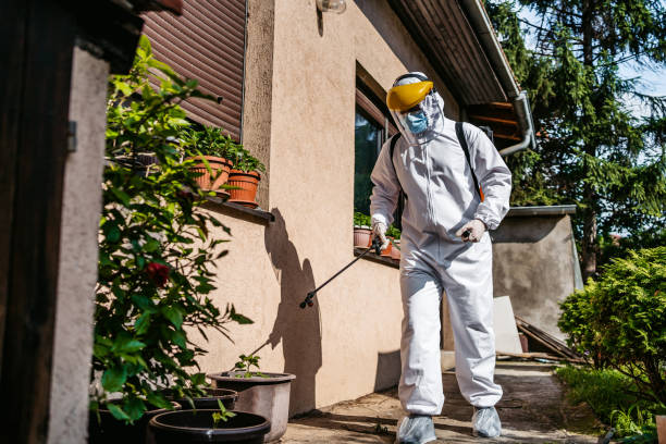 Best Affordable Pest Control Services  in Byrnes Mill, MO