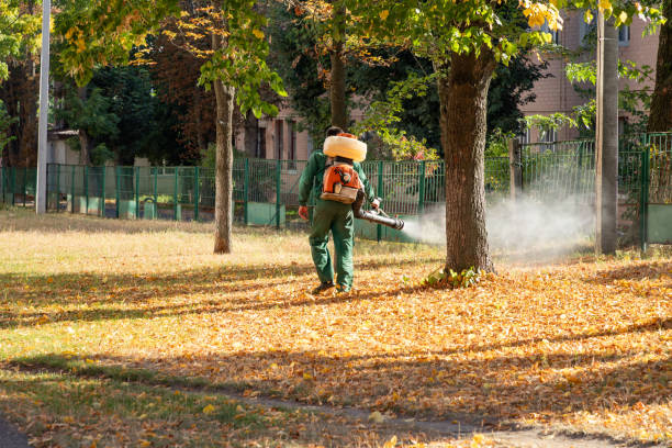 Best Pest Prevention Services  in Byrnes Mill, MO