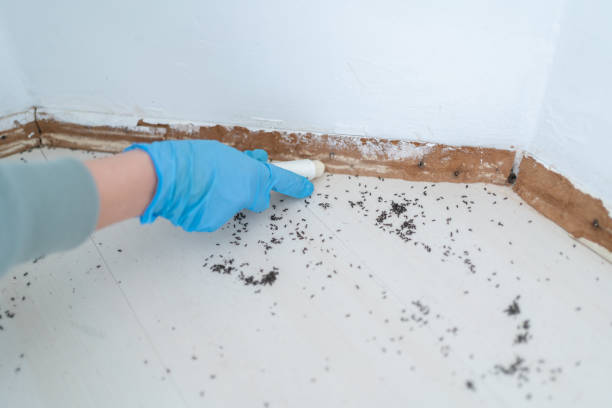 Best Commercial Pest Control Services  in Byrnes Mill, MO